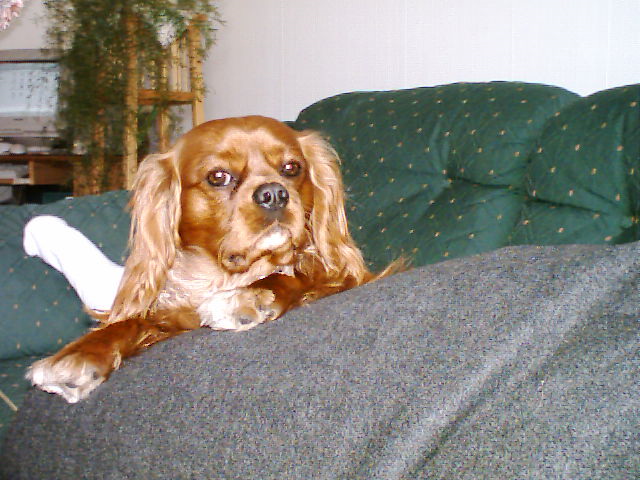 Bild 2.jpg